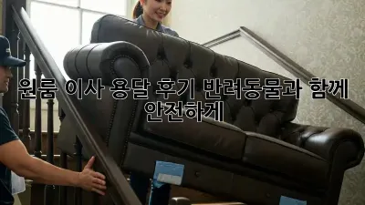 원룸 이사 용달 후기: 반려동물과 함께 안전하게!